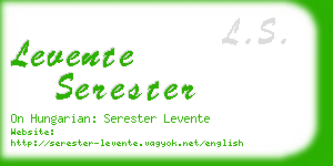 levente serester business card